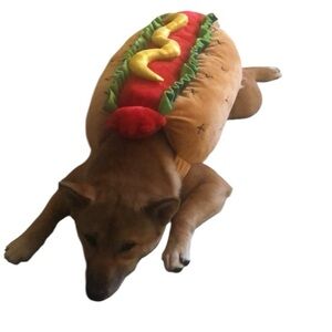 Red and Yellow Dog Clothing Accessory Costume